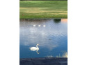  Ad# 6189094 golf course property for sale on GolfHomes.com