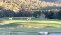  Ad# 6086602 golf course property for sale on GolfHomes.com