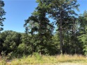 This prime lot in the new TRAIL RIDGE subdivision offers the for sale in Bella Vista Arkansas Benton County County on GolfHomes.com