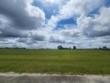 Welcome to your future oasis on the green! Nestled within the for sale in Colquitt Georgia Miller County County on GolfHomes.com