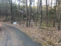 Perfect building lot in beautiful Tannenbaum S/D.  Close to for sale in Drasco Arkansas Cleburne County County on GolfHomes.com