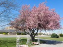  Ad# 6137850 golf course property for sale on GolfHomes.com