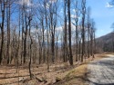 Welcome to Rich Knob Estates, this beautiful 1.95-acre lot for sale in Spruce Pine North Carolina Mitchell County County on GolfHomes.com