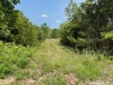 This lovely golf course lot is located on #5 Fairway of Turkey for sale in Horseshoe Bend Arkansas Izard County County on GolfHomes.com