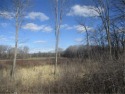 Beautiful lot ideal for a walkout overlooking Krooked Kreek golf for sale in Osceola Wisconsin Polk County County on GolfHomes.com