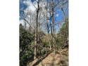 Priced below tax - value! Come see this wooded 1.12 acre lot in for sale in Flat Rock North Carolina Henderson County County on GolfHomes.com