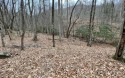 BEAUTIFULLY WOODED LOT IN UPSCALE SUBDIVISION IN THE MOUNTAINS for sale in Hayesville North Carolina Clay County County on GolfHomes.com