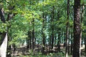 Beautiful LAKEFRONT lot Miller Point. This lot has a good low for sale in Quitman Arkansas Cleburne County County on GolfHomes.com