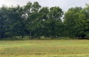  Ad# 6465698 golf course property for sale on GolfHomes.com