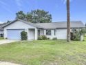 This is your opportunity to own a newly resurfaced pool home for sale in Daytona Beach Florida Volusia County County on GolfHomes.com