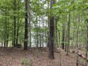 Beautiful flat lot in Shenandoah @ Savannah Lakes to build your for sale in Mccormick South Carolina McCormick County County on GolfHomes.com