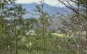 GENTLE LOT IN THE MOUNTAINS OF NORTH CAROLINA!! This beautiful for sale in Hayesville North Carolina Clay County County on GolfHomes.com
