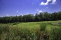 A beautiful large wooded building lot in McLemore for your home for sale in Rising Fawn Georgia Walker County County on GolfHomes.com