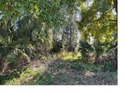 Great opportunity to own a residential vacant lot in a peaceful for sale in Other City - In The State Of Florida Florida Hendry County County on GolfHomes.com
