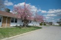  Ad# 6077425 golf course property for sale on GolfHomes.com