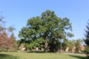  Ad# 6523974 golf course property for sale on GolfHomes.com