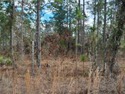 SURVEYED, HIGH AND DRY .23 ACRE BUILDING LOT IN WILLISTON for sale in Williston Florida Levy County County on GolfHomes.com