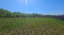 129 +/- ACRE MULTI USE (FORMER 65+ Year HOMESTEAD/FARM LAND) for sale in Checotah Oklahoma McIntosh County County on GolfHomes.com