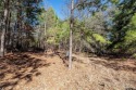 Come build your dream home on this easy-to-build lot and enjoy for sale in Holly Lake Ranch Texas Wood County County on GolfHomes.com