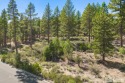 Build your own dream home amongst the tall pines in beautiful for sale in Reno Nevada Washoe County County on GolfHomes.com