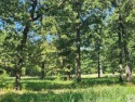 8.9 acres of partially wooded land that has enormous development for sale in New Boston Texas Bowie County County on GolfHomes.com