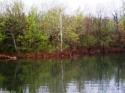 Nice level Crown Lake lot w/approx. 86' of lake frontage. Good for sale in Horseshoe Bend Arkansas Izard County County on GolfHomes.com