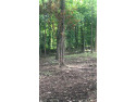 PRIME wooded lot in Woodlawn Estates at Peninsula . A beautiful for sale in Lancaster Kentucky Garrard County County on GolfHomes.com