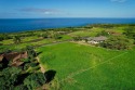 Hokulia Phase 1, lot 172 features exceptional ocean views. The for sale in Captain Cook Hawaii Big Island County County on GolfHomes.com