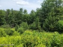 Serene Half Acre, Wooded, Building Lot. Lot Offers Access to for sale in Long Pond Pennsylvania Monroe County County on GolfHomes.com