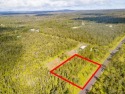 Build your off-grid dream home on this conveniently located for sale in Volcano Hawaii Big Island County County on GolfHomes.com