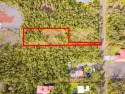 Build your dream home on this large back flag lot with its own for sale in Volcano Hawaii Big Island County County on GolfHomes.com