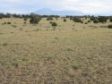 CHECK THIS ONE OUT!! 4.44 acres of Southern Colorado charming for sale in Walsenburg Colorado Huerfano County County on GolfHomes.com