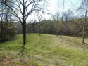 Large 206 acre lot in quiet established community of upscale for sale in Hayesville North Carolina Clay County County on GolfHomes.com