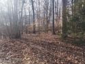 AMAZING LOT! Located in a quiet cul-de-sac. Gentle slope with for sale in Vonore Tennessee Monroe County County on GolfHomes.com
