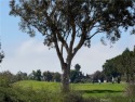  Ad# 6559676 golf course property for sale on GolfHomes.com