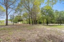 Build your dream home on this beautiful .96 acre corner lot, Texas
