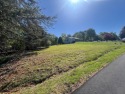 Build your new home on this beautiful Smith Mountain Lake access for sale in Hardy Virginia Franklin County County on GolfHomes.com