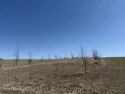Discover the perfect lakeview retreat.  Fulltime living or your for sale in Ellston Iowa Ringgold County County on GolfHomes.com