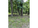 BEAUTIFUL BUILDING LOT WITH GOLF, POOL HIKING for sale in Diamondhead Arkansas Garland County County on GolfHomes.com