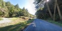 Stunning Ocean View Lot  Ready to Build in Shelter Cove! This for sale in Whitethorn California Humboldt County County on GolfHomes.com