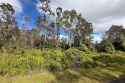 The adjacent lot, TMK 3-1-1-13-47 must be sold together with for sale in Volcano Hawaii Big Island County County on GolfHomes.com