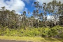 Discover the charm of Volcano, Hawaii, with this serene vacant for sale in Volcano Hawaii Big Island County County on GolfHomes.com