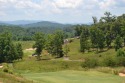 Take advantage of this unique chance to build your dream home on for sale in Mineral Bluff Georgia Fannin County County on GolfHomes.com