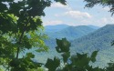Phenomenal views and privacy on this Golf Course subdivision lot for sale in Hayesville North Carolina Clay County County on GolfHomes.com