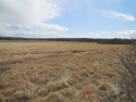 40.39 Acres or rare property out in the country for your weekend for sale in Ranger Texas Stephens County County on GolfHomes.com