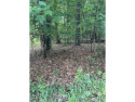 NICE BUILDABLE LOT ! Looking to build your new home? This lot is, North Carolina