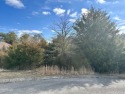 WELCOME TO WOODLAKE GOLF COMMUNITY LOCATED ON THE PRISTINE for sale in Tazewell Tennessee Claiborne County County on GolfHomes.com