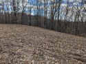 Mildly restricted lot in the prime development *The Oaks at Dale for sale in Burkesville Kentucky Cumberland County County on GolfHomes.com
