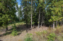  Ad# 1808416 golf course property for sale on GolfHomes.com