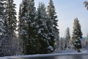 Live the Montana Dream with this beautiful 1.16 acre lot in the for sale in Whitefish Montana Flathead County County on GolfHomes.com